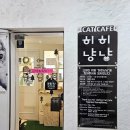 히히냥냥 | [서울] 히히냥냥 : 강남 고양이카페