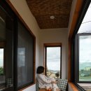 빈도롱이가 이미지