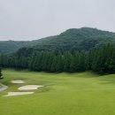 서울에서 1시간! 안성베네스트cc 회원제 서북코스 라운딩 후기, 조경 코스 관리 모두 만족