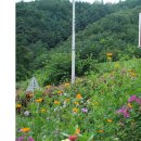 호촌미술관 이미지