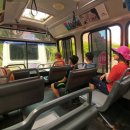 송원사슴 이미지