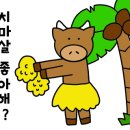 대광정육점 - 안양시 만안구 안양로258번길 14 | 대광정육점