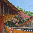 밀양향교 이미지