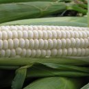 무주읍011 이미지