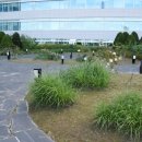 장미휴게실 이미지