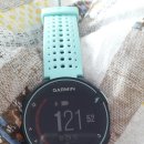 Garmin Forerunner 235 이미지