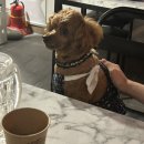 토바기협동조합 이미지