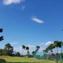 파인파골프클럽 이미지