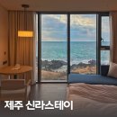 이호 | 제주 신라스테이 플러스 이호테우 숙박 후기 헬스장 수영장