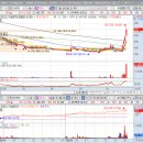 아시아인베스트먼트캐피탈주