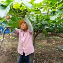 지환농장 이미지