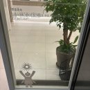 조셉의원 | 서울 편평사마귀 제거 내돈내산 편평사마귀 성지 후기