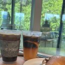 삼리길 | 양산 하북면 애견동반 가능 대형카페 아미드포레 내돈내산 후기