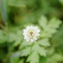 소라산자연마당 화장실 | 익산 소라산자연마당