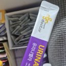 벨라 그루밍 이미지