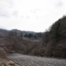 증산수도계곡캠핑장 이미지