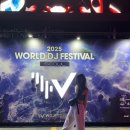 2025 월드디제이페스티벌 월디페 과천 EDM 뮤직페스티벌 토요일 꿀팁 완벽후기