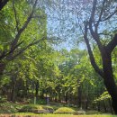 도림목재 이미지