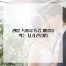 바른척추통증케어