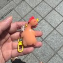 곰돌이미트유통 | 상하이 여자 둘이 자유여행 4박5일 코스 (3일차~5일차) 쇼핑리스트