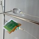 육사시미 콘서트 1 | [251101] 2025 Color in Music Festival - 인천 후기 / WOODZ 를 봤어요!