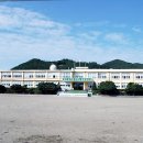 불갑초등학교 Daum카페