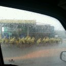 마룡초등학교 이미지