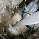 월평북로 이미지