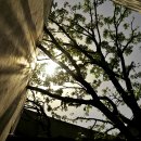 불루메미술관 이미지