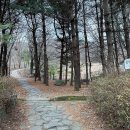 샛별중학교앞 이미지
