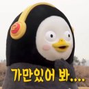 제제뷰티