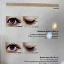 루루앤아이래쉬 | 강남속눈썹 : 강남 속눈썹연장 : 루루앤아이래쉬 후기