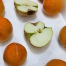 대봉상회 이미지