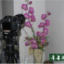 신명한의원 이미지