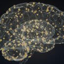 디자인미래 이미지