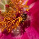 호텔 더 루아 남포롯데점 이미지