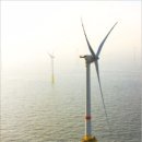 (주)일렉트릭아일랜드 이미지