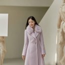 꼼빠니아 이미지