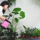 책방 그린
