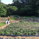 숲속다예린유치원 이미지