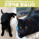 부근 이미지