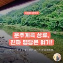 상류펜션 | 운주계곡 상류 캠핑장 추천, 솔뫼 캠핑장 명당 후기