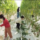 김정기 농장 이미지