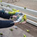 은모래목장 이미지