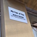 개청순한고양이 | 26년 1월에도 홍콩여행 Day 2~3