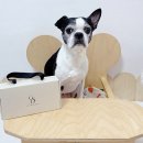 와와네 수제간식 이미지