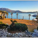 야자수펜션 스파오션뷰 이미지