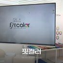 핏컬러｜홍대 퍼스널컬러 봄웜톤 스타일컨설팅 후기 여쿨 외길인생 내가 봄웜?!