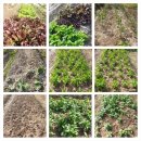 선동농장 이미지