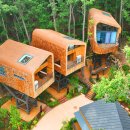 별밤PC방 | 서울 자연휴양림 노원 수락휴 예약 방법, 트리하우스 가격 총정리 (가격, 명당 등)